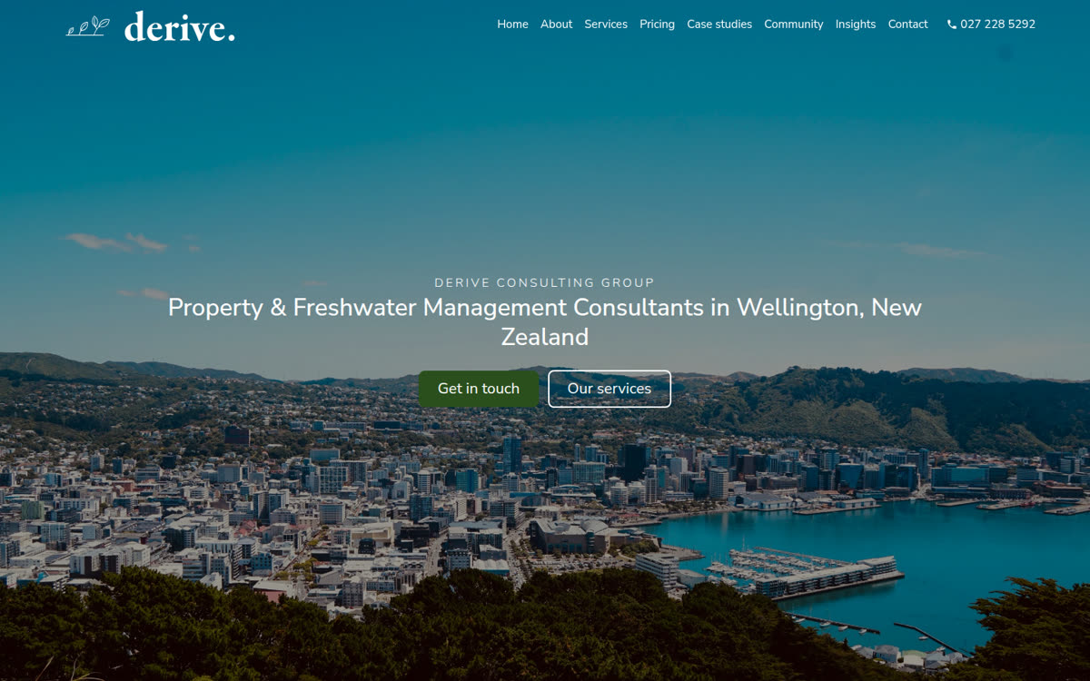 Derive Consulting Group website